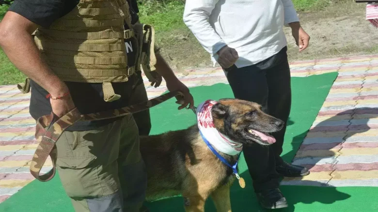Zorba, the dog actively involved in anti-poaching operations, passes away due to health problems