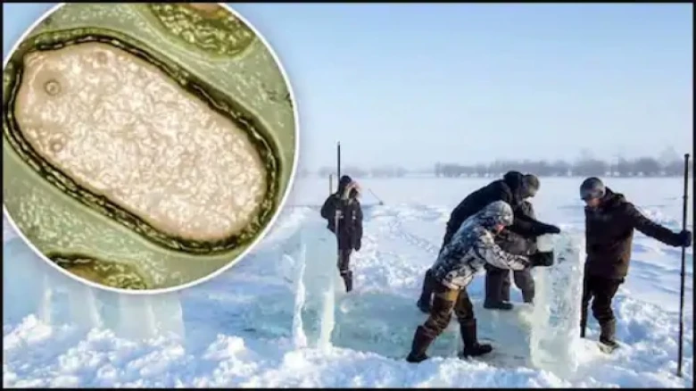 'Zombie Virus' found in Russia 48,500 years after being buried in ice restored