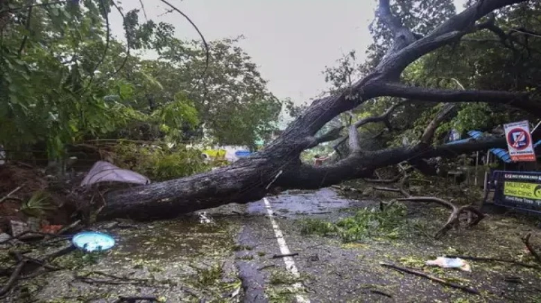 Cyclone Mandous: Tamil Nadu undergoes traffic turmoil, waterlogging, and blackouts; 4 people reported dead