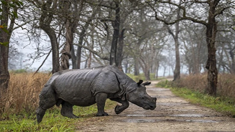 Assam police arrested a 'most wanted' rhino poacher