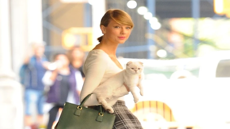 Taylor Swift's cat Olivia Benson is one of the world's wealthiest pets, worth Rs 800 crore: Claims Report
