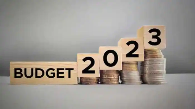 Budget 2023: Prices of these commodities may rise from February; Check the list here