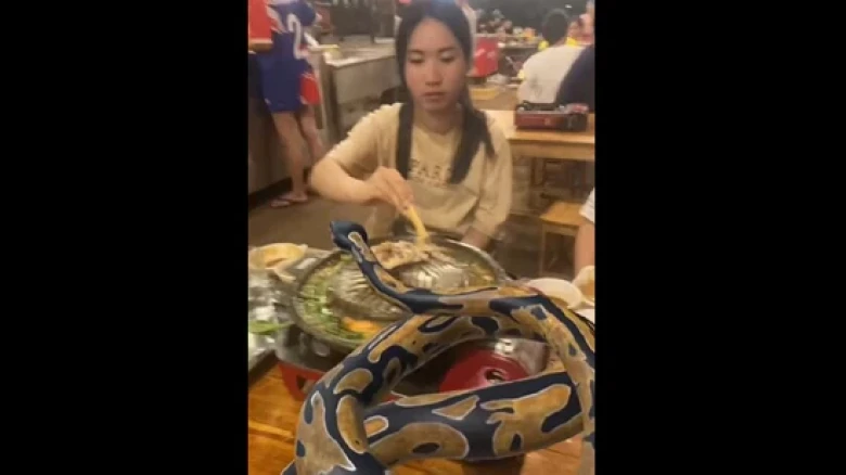 Viral video shows women dining with 'python,' but wait for the twist