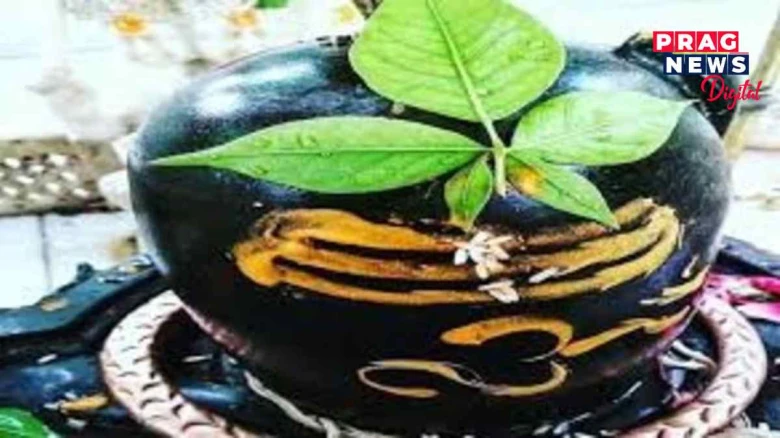 ভাগ্যৰ বলতহে পোৱা যায় পাঁচ পতীয়া বেলপাত! এই বেলপাত আগবঢ়ালে মহাদেৱ লগে লগে হয় সুখী