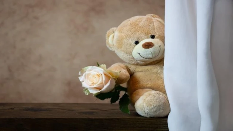 Valentine's Day 4: This Teddy Day follow these 5 ways to express your love with a teddy bear