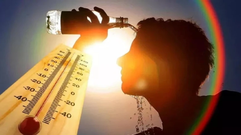 Union Health Ministry issues Heatwave Advisory; Reasons why you should avoid intake of tea, coffee, and high-protein food