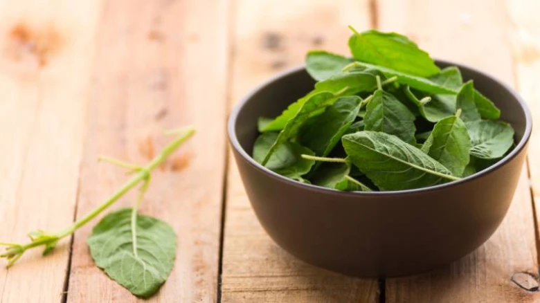 Low Blood Pressure is curable: Tulsi Leaves to salt; home remedies you should know