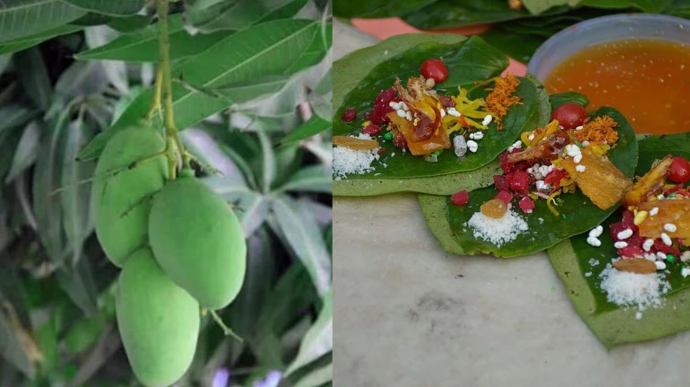 Banarasi Langda Mango, Banarasi Paan Receive GI Tag