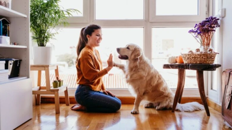 Vastu Shastra: Follow This Vastu Tips If You Have A Pet At Home