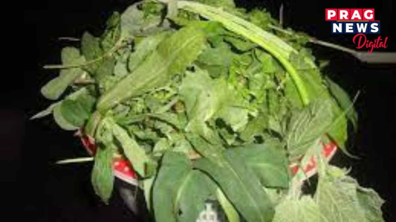 গৰু বিহুৰ পৰম্পৰাঃ ১০১ বিধ শাকেৰে অসমীয়াৰ এসাজ, অখিল গগৈৰ অৰ্কিড উদ্যানতো গজি উঠিছে ১০১ বিধ শাক, কি সেই ১০১ বিধ শাক? জানো আহক