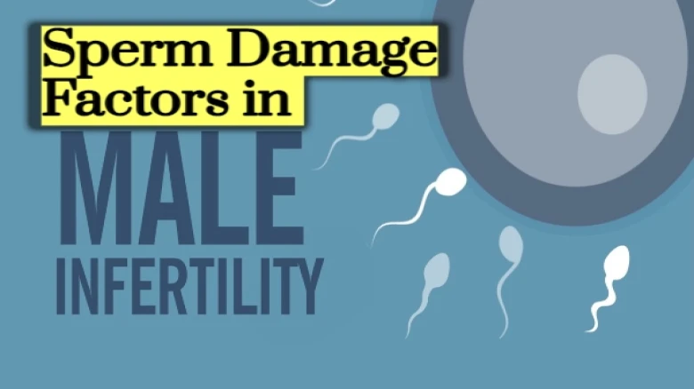Scientists identify sperm damage factors that lead to infertility in men, Check here