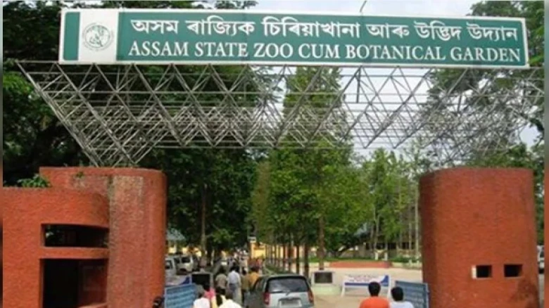 Five new members welcomed to Assam State Zoo in Guwahati