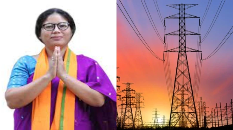 "Government is not responsible for rise in electricity bills": Nandita Gorlosa