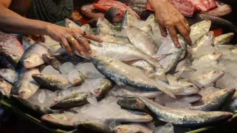 Meghalaya's Government imposes ban over formalin-containing fish imported from other states