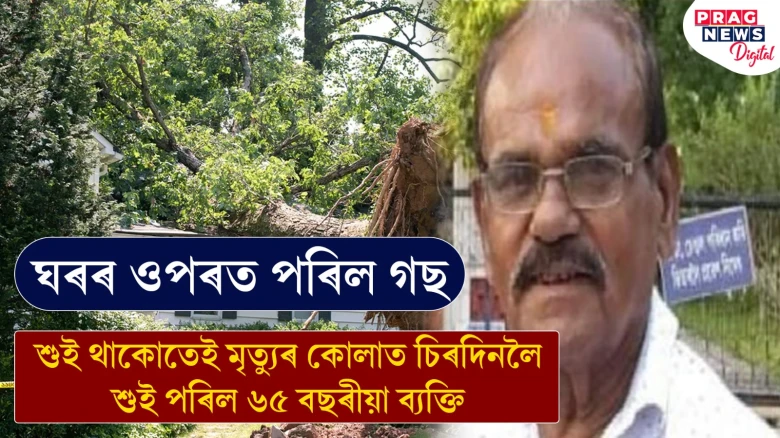 নিষ্ঠুৰ নিয়তি! ঘৰৰ ওপৰত গছ পৰাত শুই থাকোতে মৃত্যু বৰপেটাৰ ৬৫ বছৰীয়া ব্যক্তিৰ