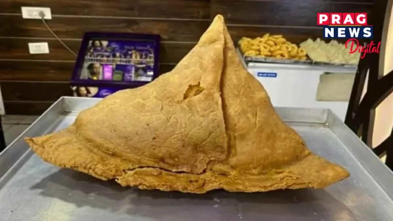 'বাহুবলী' চিঙৰা! ১২ কিলোগ্ৰাম ওজনৰ এই চিঙৰাটো  আধা ঘণ্টাৰ ভিতৰতে খাব পাৰিলে লাভ কৰিব ৭১ হাজাৰ টকা! আপুনি সাজুনে?