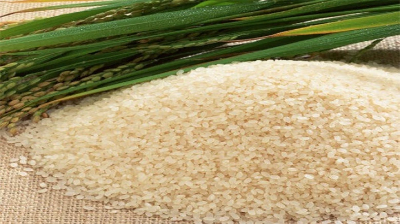 Research shows Assam's 'Joha Rice' can help manage diabetes