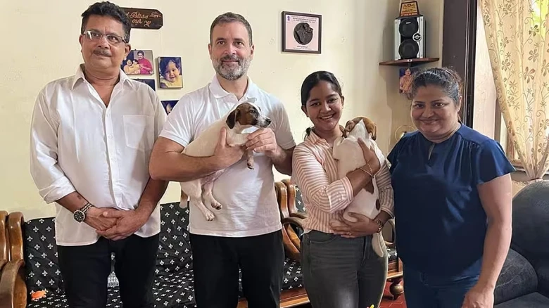 Rahul Gandhi brings home Jack Russell Terrier puppy after Goa visit