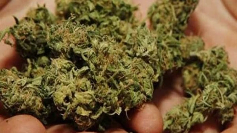 37 Kg Cannabis seized at Agartala Railway Station