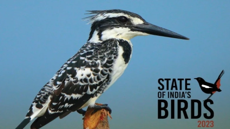 State of India's Birds 2023 edition report plans 'High Conservation Priority' for Bird species of NE