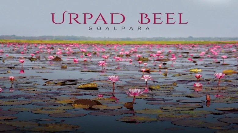 Assam government's great initiative, 'Urpad Beel' of Goalpara to be declared as conservation reserve