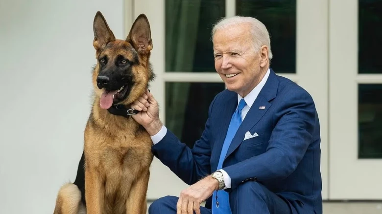 US President Biden's dog 'Commander' bites Secret Service agent, 11th attack by first dog