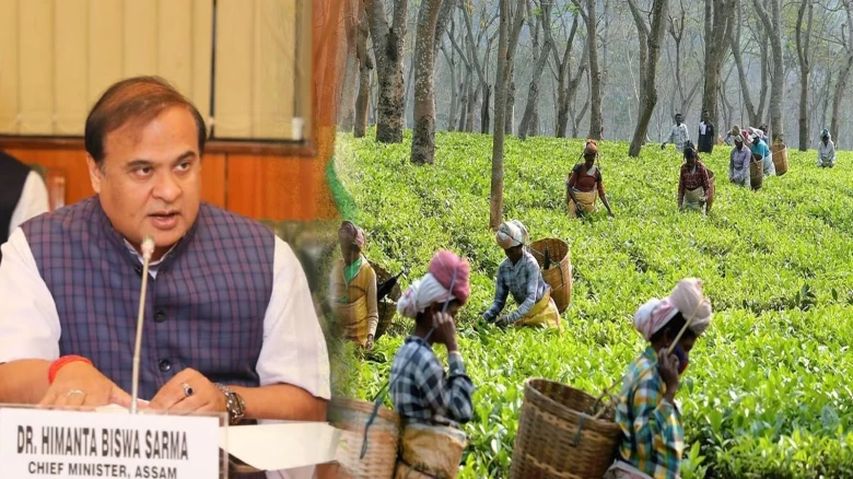 Assam CM announces 3% reservation in Govt jobs for tea tribes