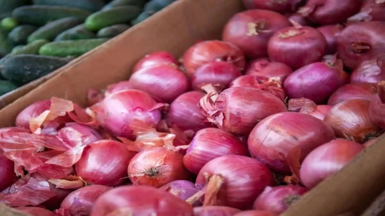 Govt expects onion prices to reduce below Rs 40 per kg by January