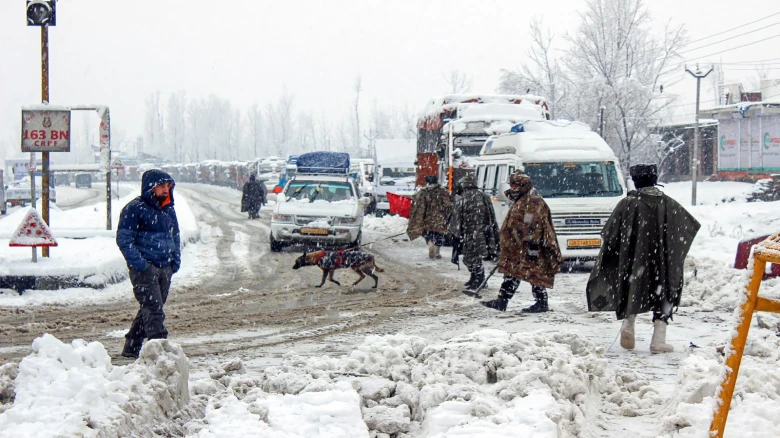 Sikkim: 1217 stranded tourists evacuated to Gangtok safely amid heavy snowfall