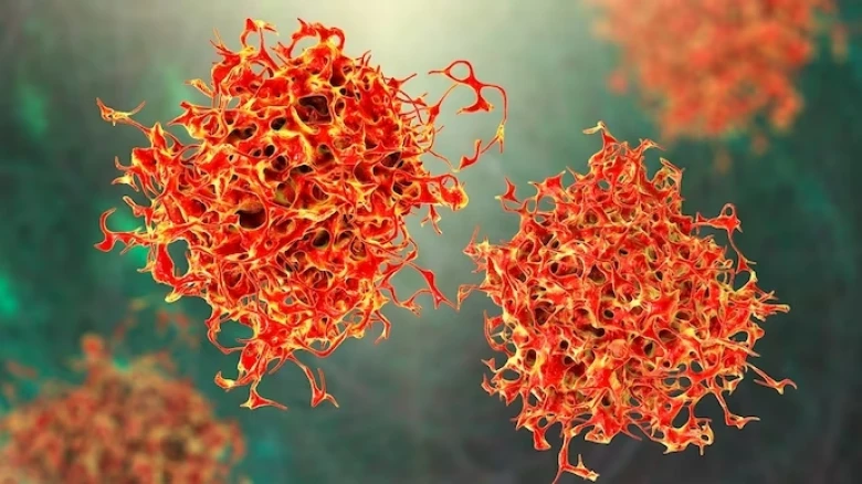 Researchers reveal key to enhancing immunity against cancer