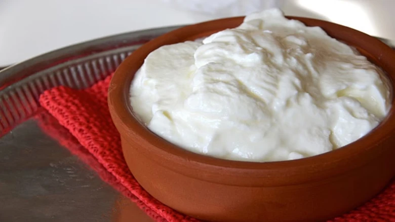 Should we eat curd in winter? Here are some benefits and side effects