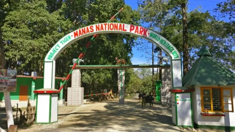 Manash National Park To Remain Closed For Tourists: Check Out Details