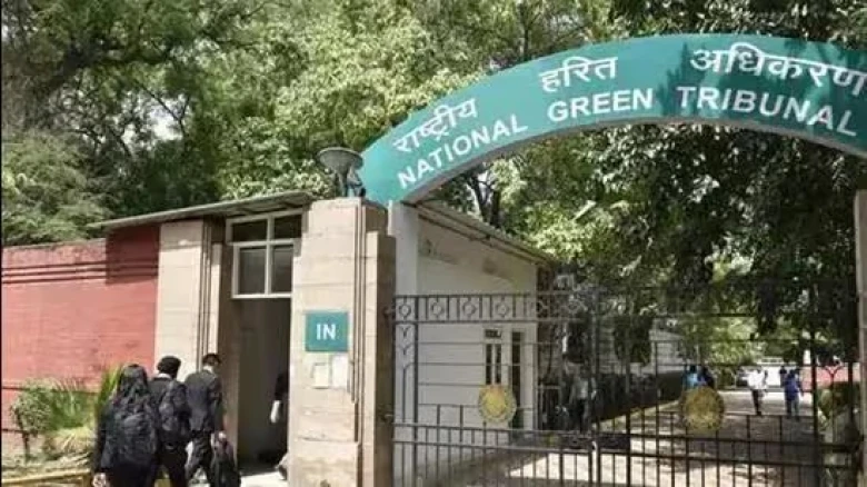 National Green Tribunal seeks Assam govt’s response after schools, tea gardens discovered inside forest land