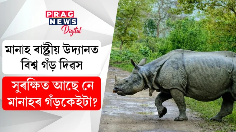 মানাহ ৰাষ্ট্ৰীয় উদ্যানত বিশ্ব গঁ‌ড় দিৱস; সুৰক্ষিত আছে নে মানাহৰ গঁ‌ড়কেইটা?
