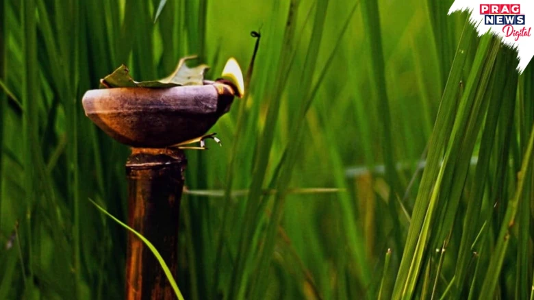 What Is Kati Bihu And Why It Is Celebrated?