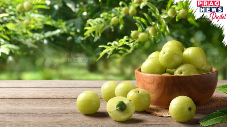 Best Ways to Consume Amla for a Healthier Lifestyle