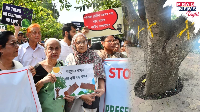 Guwahatians Protest Against Tree Cutting in Dighalipukhuri