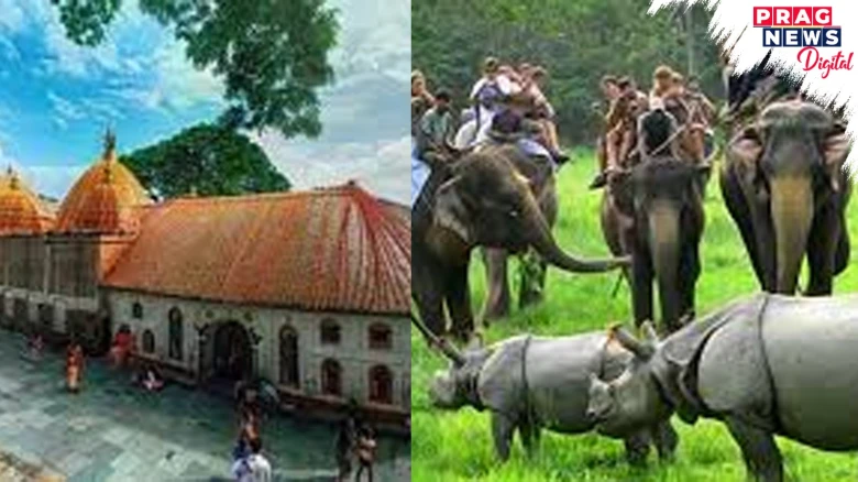 '52 Places To Go In 2025': Assam Ranked Fourth In The Prestigious List