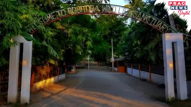 Pobitora’s Tamulidubha Beel: The Rapid Decline Of Its Wetland Ecosystem