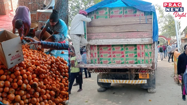 Proud Moment: Assam Exports 5 Lakh Premium Mandarin Oranges To Bangladesh