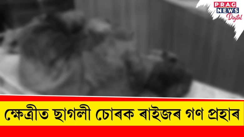 ক্ষেত্ৰীত ছাগলী চোৰক ৰাইজৰ গণ প্ৰহাৰ, অৱস্থা সংকটজনক