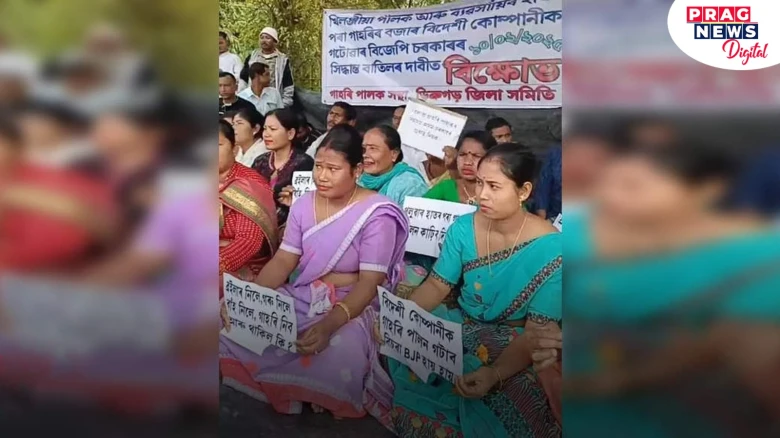 Protest Erupts In Dibrugarh Over Thai Company's Entry Into The Piggery Sector