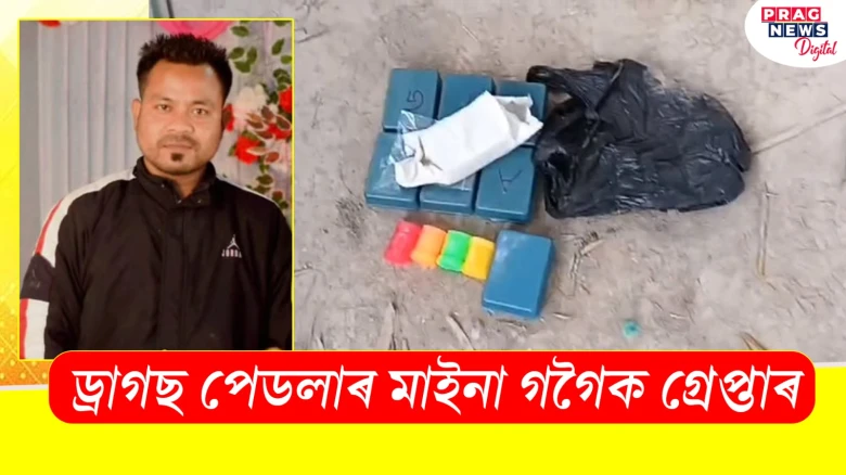 ড্ৰাগছ পেডলাৰ মাইনা গগৈক গ্ৰেপ্তাৰ! কি কি উদ্ধাৰ হ’ল মাইনা গগৈৰ ঘৰৰ পৰা?