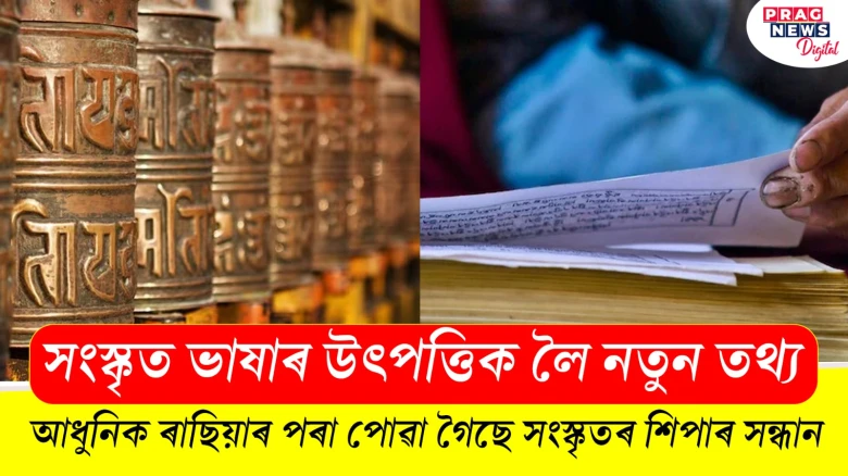 সংস্কৃত ভাষাৰ উৎপত্তিক লৈ নতুন তথ্য;  আধুনিক ৰাছিয়াৰ পৰা পোৱা গৈছে সংস্কৃতৰ শিপাৰ সন্ধান