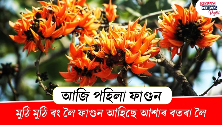 আজি পহিলা ফাগুন! মুঠি মুঠি ৰং লৈ ফাগুন আহিছে আশাৰ বতৰা লৈ