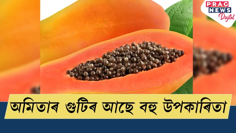 অমিতাৰ গুটিৰ আছে বহু উপকাৰিতা