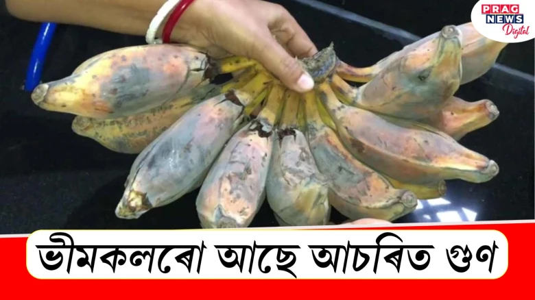 ভীমকলৰো আছে আচৰিত গুণ; জানো আহক