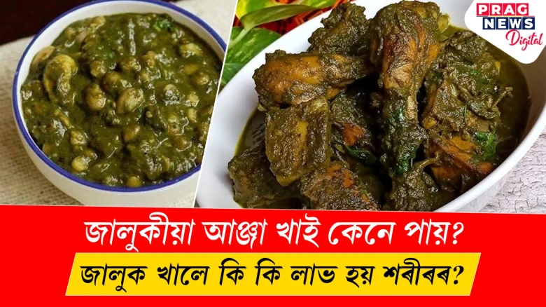 জালুকীয়া আঞ্জা খাই কেনে পায়? জালুক খালে কি কি লাভ হয় শৰীৰৰ?