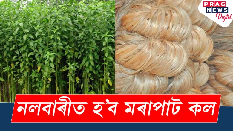 নলবাৰীত হ’ব মৰাপাট কল