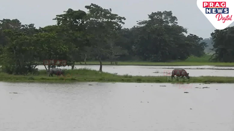 Assam Flood Situation Remains Grim: Over 6.3 Lakh Affected Amid Floods & Landslides